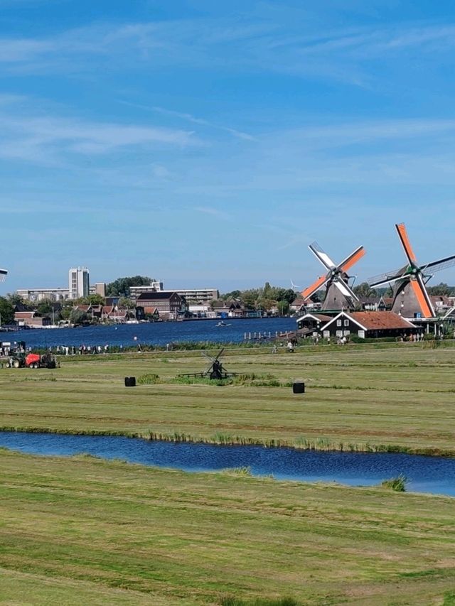 Day Trip in the Netherlands: Zaandam, Zaanse Schans & Utrecht