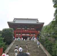在鐮倉邂逅千年時光｜鶴岡八幡宮穿越指南