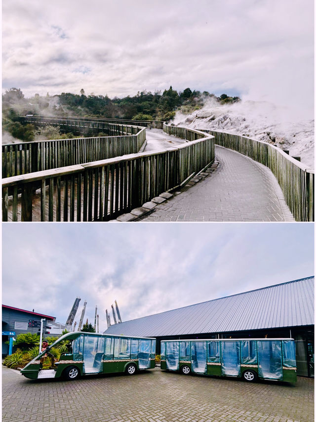 【新西蘭北島】波胡圖間歇泉（Pohutu Geyser）：震撼的自然奇觀，感受地熱的力量
