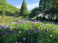 🌸 Ten-Mile Fragrant Path (十里芳径) — The Heart of Yuantouzhu 🌸