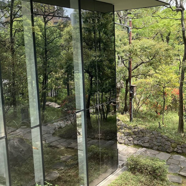 【東京/表参道🇯🇵】洗練されたガラス空間から眺める日本庭園✨ NEZU CAFÉ 【東京/表参道🇯🇵】洗練されたガラス空間から眺める日本庭園✨ NEZU CAFÉ
