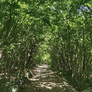 帕克勒尼察國家公園