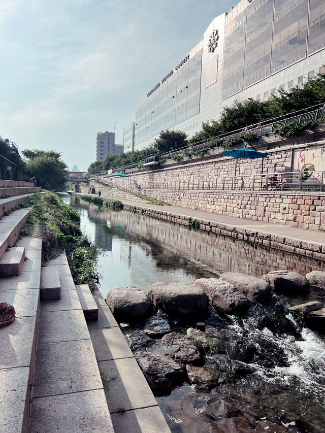 동대문 거리풍경과 청계천🌾