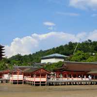 海中島居+海上神社+神之使者一在嚴島神社散策