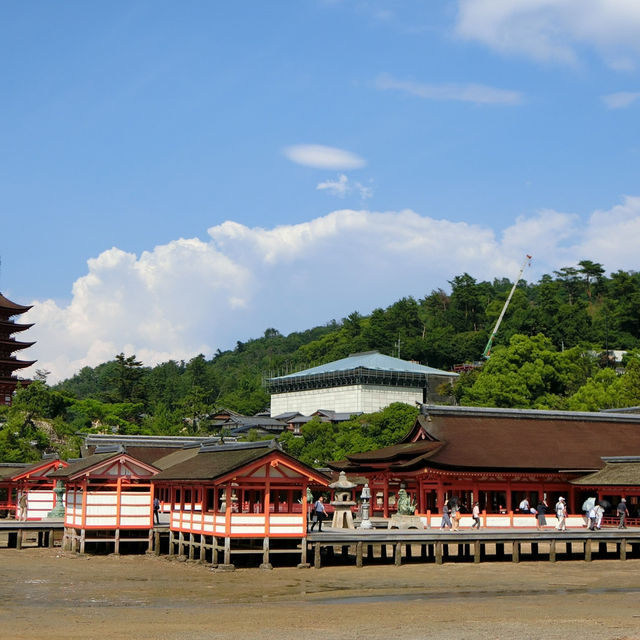 海中島居+海上神社+神之使者一在嚴島神社散策