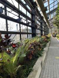 🌿 Green Oasis at Seoul Grand Park Botanical Garden  