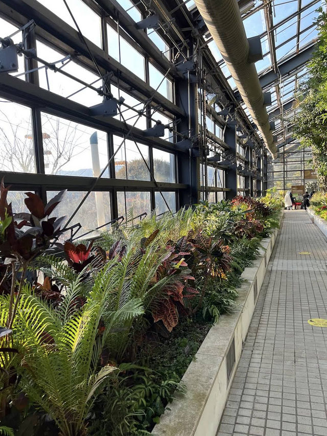 🌿 Green Oasis at Seoul Grand Park Botanical Garden  
