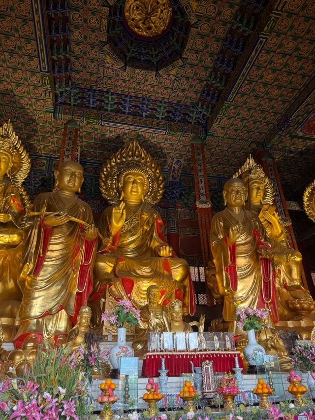 Dali Buddha Bliss🧘‍♂️