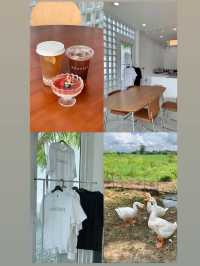 คาเฟ่เปิดใหม่ที่ vibes ดีสุด DOOFEELเชียงราย