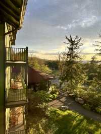 「湖畔秘境 x 不夜城」｜3天2夜玩轉 Mohonk Resort 與紐約市中心