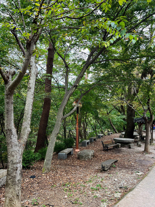 정말 좋네요 가을 산과 산사🍂