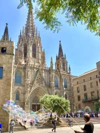 バルセロナの美しいカテドラル🇪🇸スペイン旅
