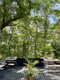 🌸 Garden Strolls & Gourmet Picnics at Nicolai Bergmann Hakone Gardens