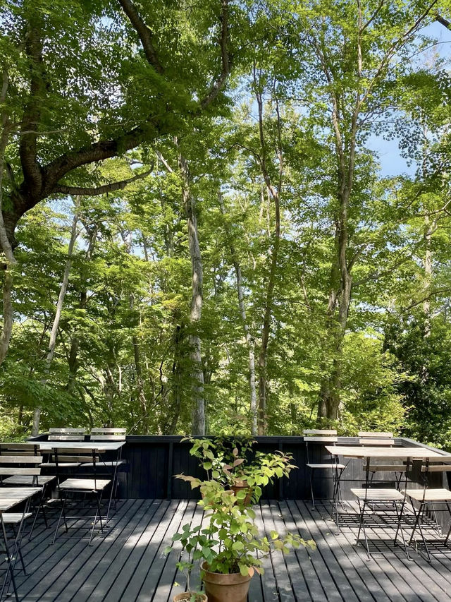 🌸 Garden Strolls & Gourmet Picnics at Nicolai Bergmann Hakone Gardens