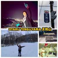 🌸 Otaru One-Day Getaway from Sapporo