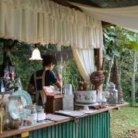 คาเฟ่สไตล์บ้านกลางป่า สุดร่มรื่น จ.เชียงใหม่