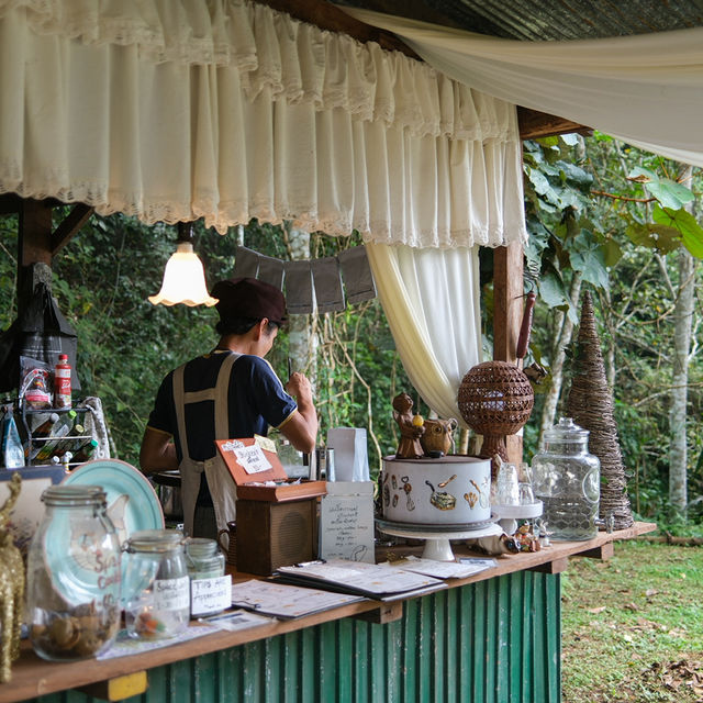 คาเฟ่สไตล์บ้านกลางป่า สุดร่มรื่น จ.เชียงใหม่ คาเฟ่สไตล์บ้านกลางป่า สุดร่มรื่น จ.เชียงใหม่