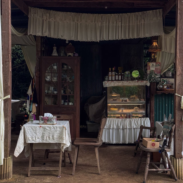 คาเฟ่สไตล์บ้านกลางป่า สุดร่มรื่น จ.เชียงใหม่ คาเฟ่สไตล์บ้านกลางป่า สุดร่มรื่น จ.เชียงใหม่