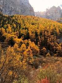 nature reserve