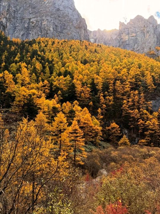 nature reserve