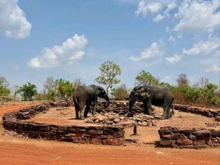 A Wild Escape into Ghana’s Natural Heart