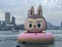 香港好去處 | 金鐘添馬公園 | 維港海上大巡遊