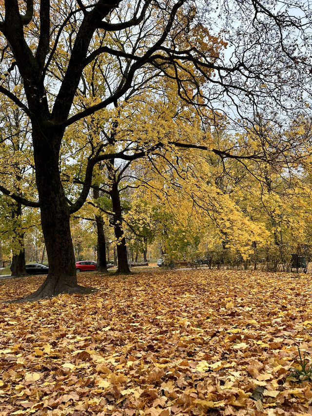 Sibelius Monumentti - อนุเสาวรีย์นักกวีดัง