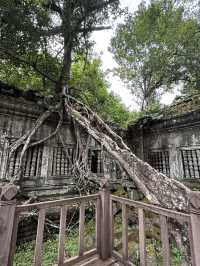 Siem Reap, Ancient Escape 🌿