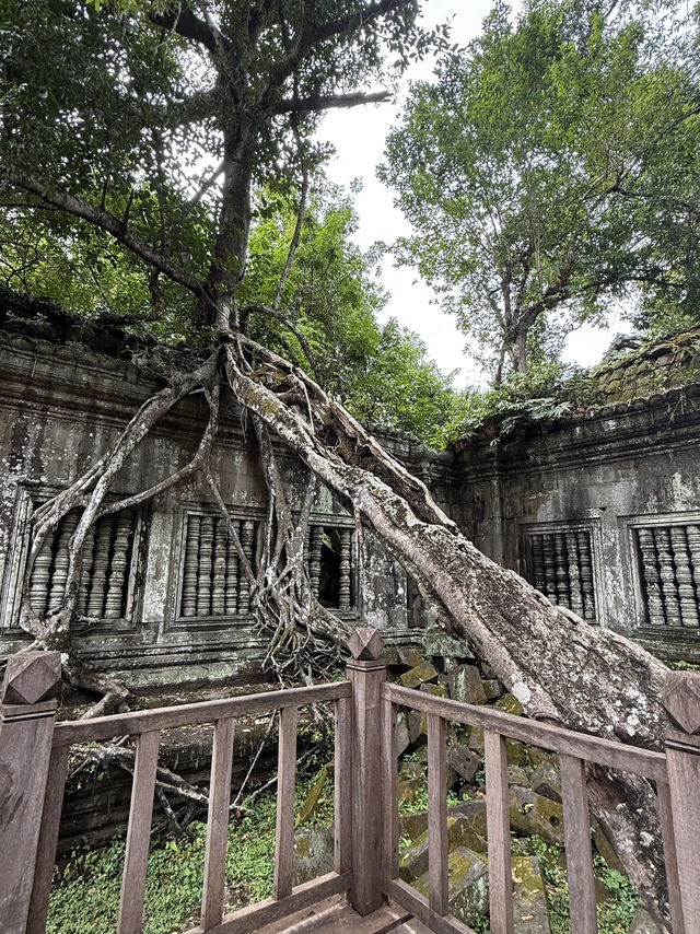 Siem Reap, Ancient Escape 🌿