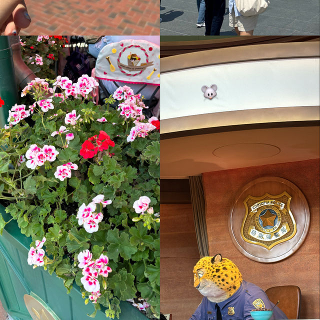 [🇨🇳Shanghai]🦊รีวิวโซน Zootopia เซี่ยงไฮ้ดิสนีย์