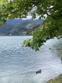 ์ฌ๋ก๋ฒ ๋์ ๋ธ๋ ๋ ํธ์ ์ฐ์ฑ
ํ๊ธฐ ๐ฟโจ