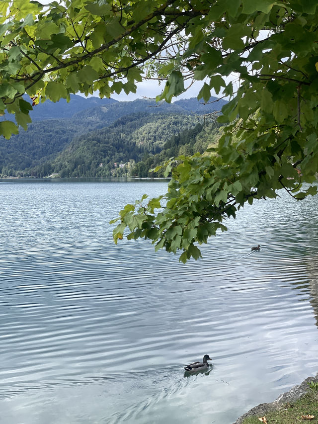 ์ฌ๋ก๋ฒ ๋์ ๋ธ๋ ๋ ํธ์ ์ฐ์ฑ
ํ๊ธฐ ๐ฟโจ ์ฌ๋ก๋ฒ ๋์ ๋ธ๋ ๋ ํธ์ ์ฐ์ฑ
ํ๊ธฐ ๐ฟโจ