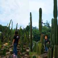 🌴🌺國家4A級旅遊景區推介🌻🪻