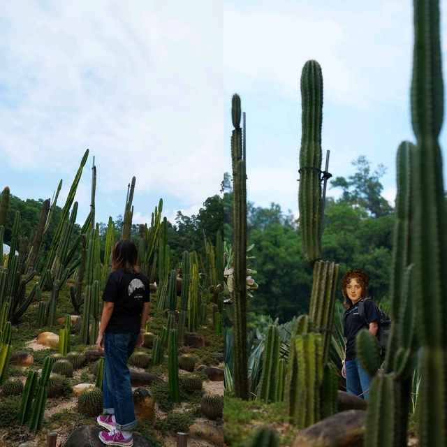 🌴🌺國家4A級旅遊景區推介🌻🪻