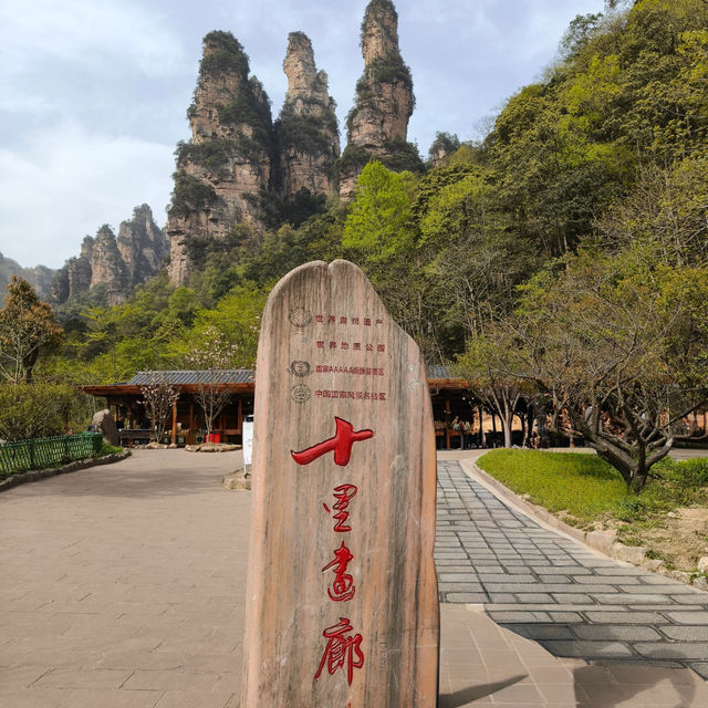 Zhangjiajie National Forest Park — East Gate One-Day Route That Actually Works Zhangjiajie National Forest Park — East Gate One-Day Route That Actually Works