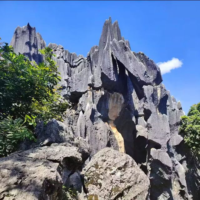 Walking Through a Stone Wonderland