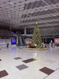 Travel Begins Here✈️