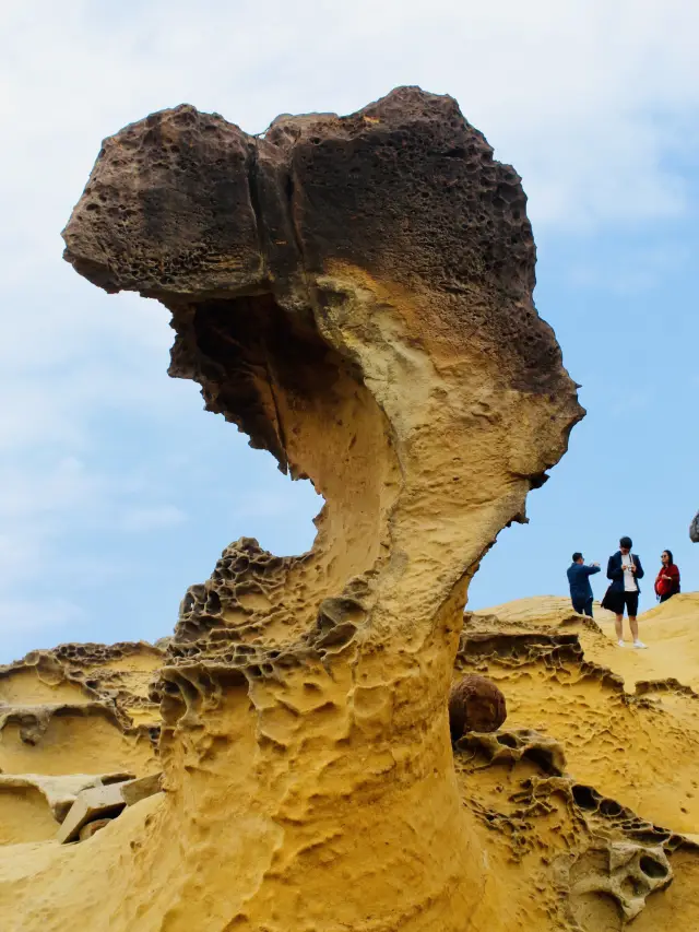 野柳地質公園：岩石魔法🪨