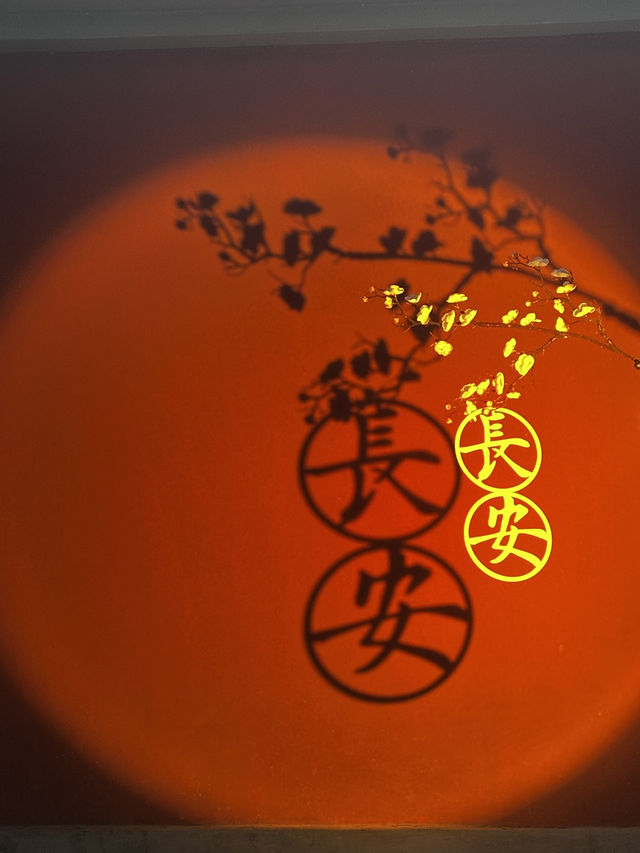 日落雲霧裡的貓影西安 日落雲霧裡的貓影西安