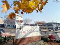 아직은 가을여행 중 😁🍁