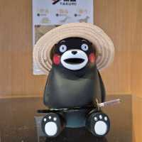 🇯🇵 구마모토 여행: 살아있는 아소산, 인생 돈카츠 '카츠레츠테이', 그리고 달콤한 디저트 투어 🍦