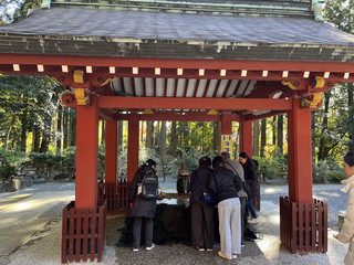 [Kirishima Shrine] The Best Autumn Travelogue.