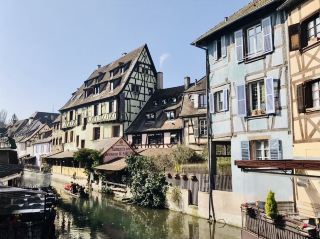 🕊️一秒走進童話故事的城市, 科馬Colmar France 🇫🇷