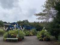 🌺 A Scenic Hideaway: Camellia Hill, Jeju