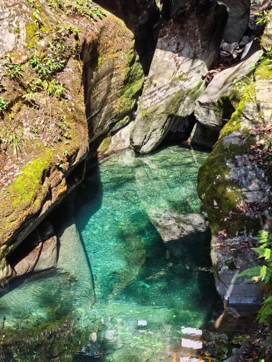 🌿 Yamugou | The Emerald Valley Beneath Mount Fanjing