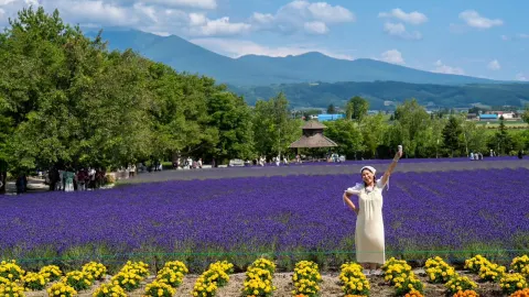𝙎𝙪𝙢𝙢𝙚𝙧 𝙞𝙣 𝙃𝙤𝙠𝙠𝙖𝙞𝙙𝙤: Farm Tomita is the trendiest flower garden right now. — traveler post in Biei