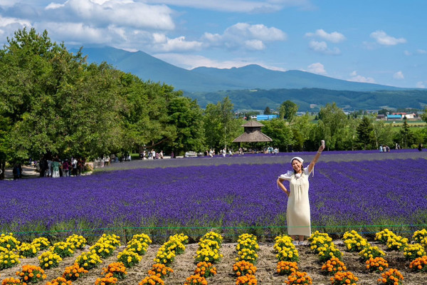 𝙎𝙪𝙢𝙢𝙚𝙧 𝙞𝙣 𝙃𝙤𝙠𝙠𝙖𝙞𝙙𝙤 The Hottest Flower Garden Right