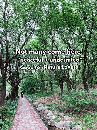 🍁 Seoul Forest – Underrated Parks That Deserves a Spot on Every First-Timer to Seoul!