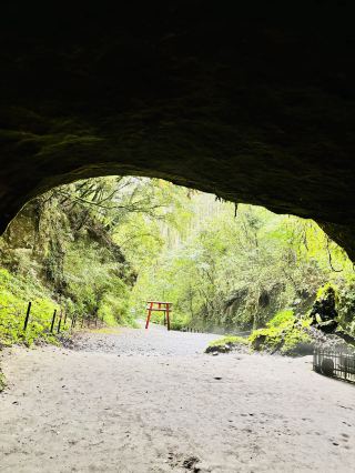 Kagoshima: A Journey Through Kirishima and Ibusuki