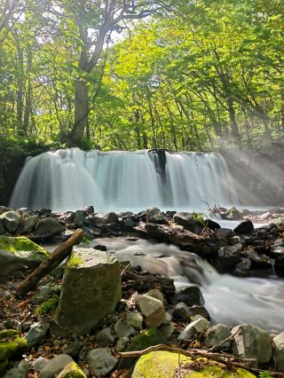 Oirase Stream | A day in Aomori where I cycled right into a masterpiece.
